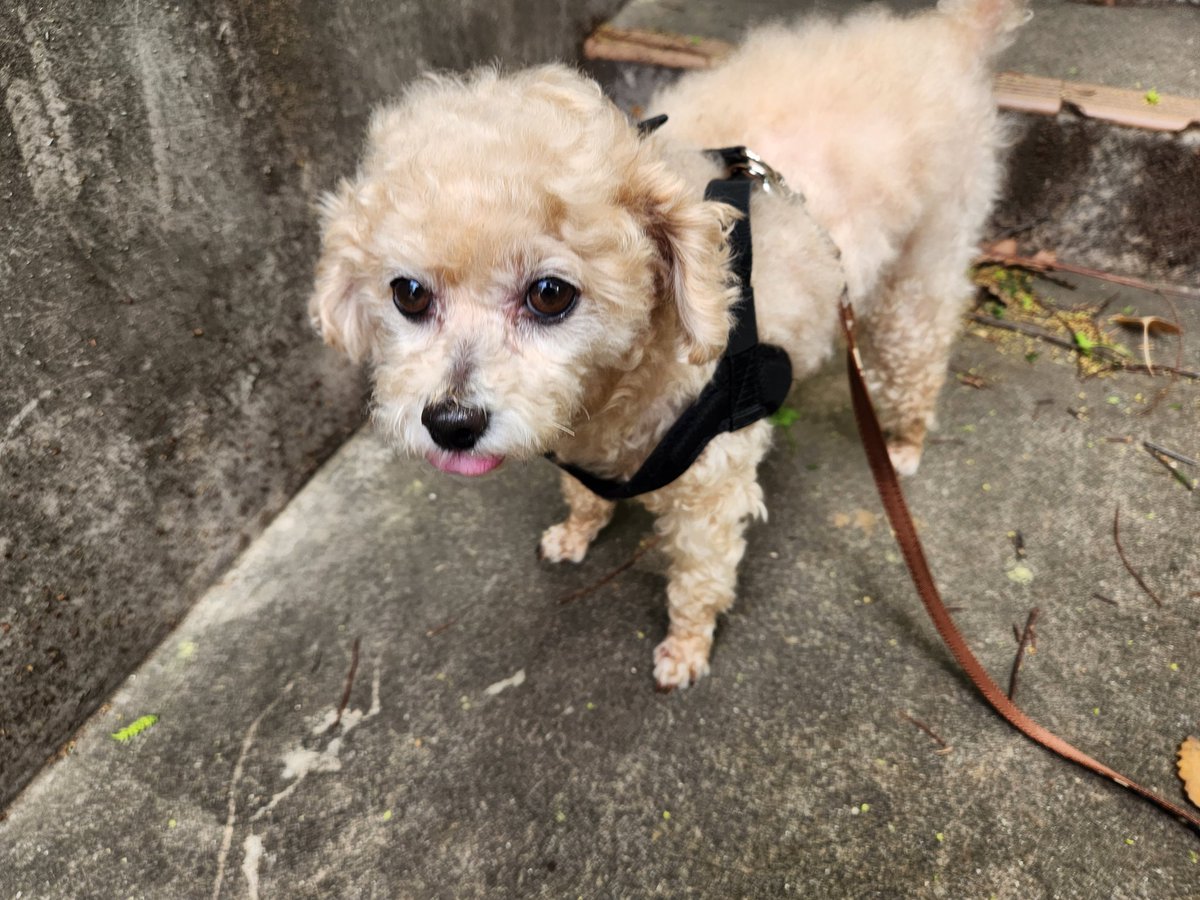(日)は桜満開の中🌸
僕のふるさと宮城県山元町にて・・・『こおり健太「唄心」～桜の下で～ライブ』開催でした！！

地元はもちろん！！

北海道や関東からも風が強い中にも関わらずたくさんのお客さまがご参加くださいました😊🙇😊

お客さまが会場後方まで(笑)

サイドも(笑)