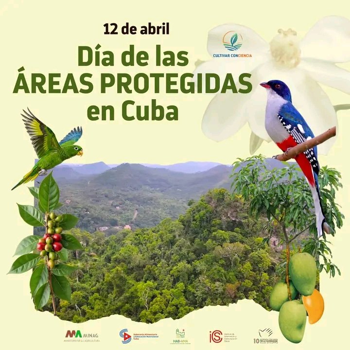 YdaelB's tweet photo. Las áreas protegidas en #Cuba son espacios estratégicos para la conservación de la biodiversidad, la protección de ecosistemas únicos y el resguardo de recursos vitales para el desarrollo sostenible. Su cuidado y preservación garantizan equilibrio ecológico.
#Cuba🇨🇺
@MinagCuba https://t.co/BNJydPfU1v