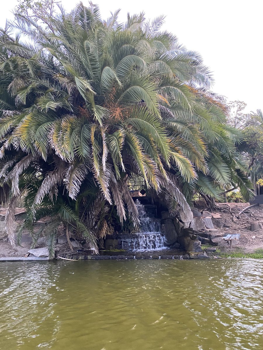 zoe 𑣿 tweet media