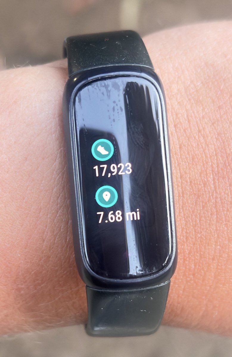 laci | edtwt (-1.4/18.4) tweet media