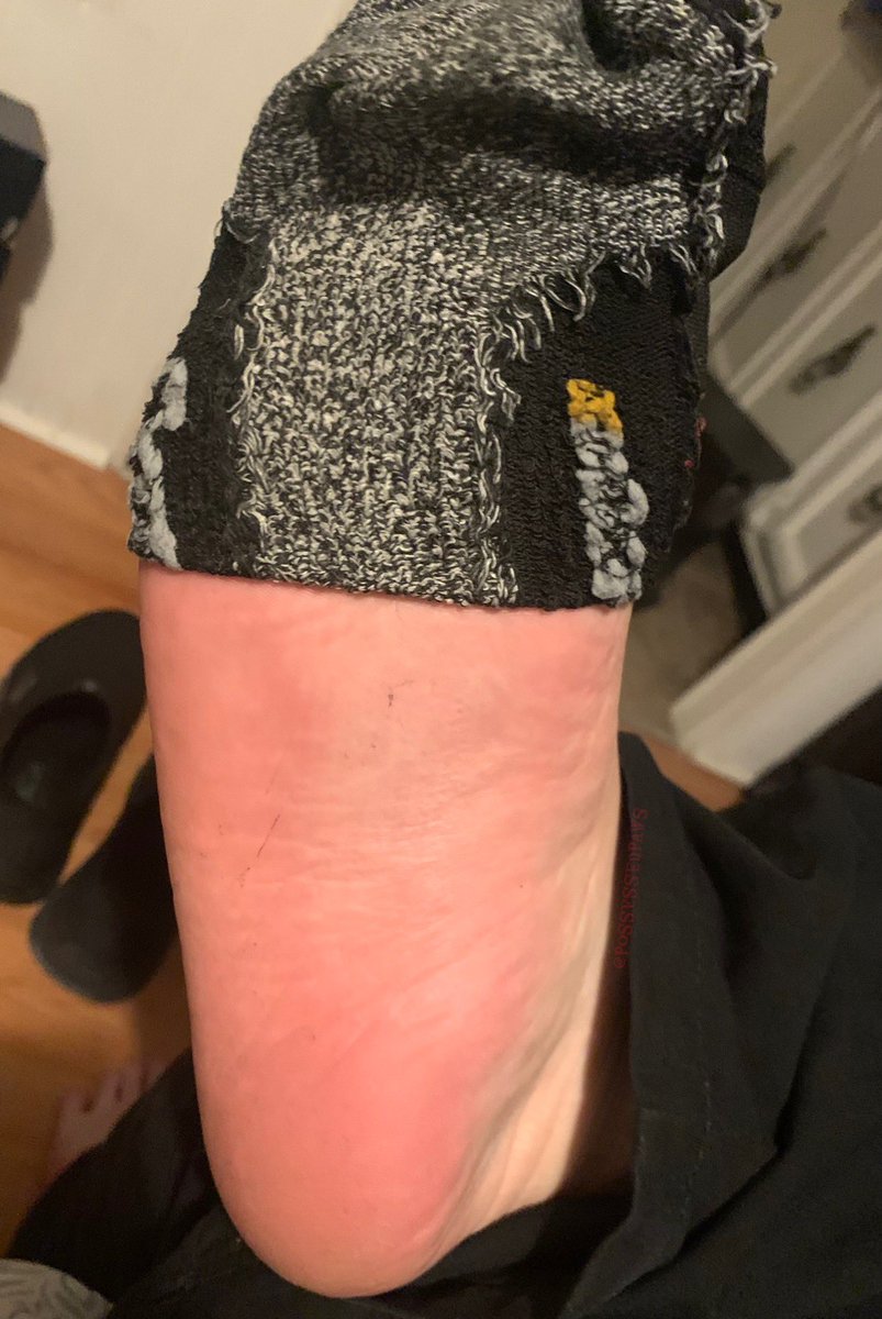 EctoPuppyAD tweet media