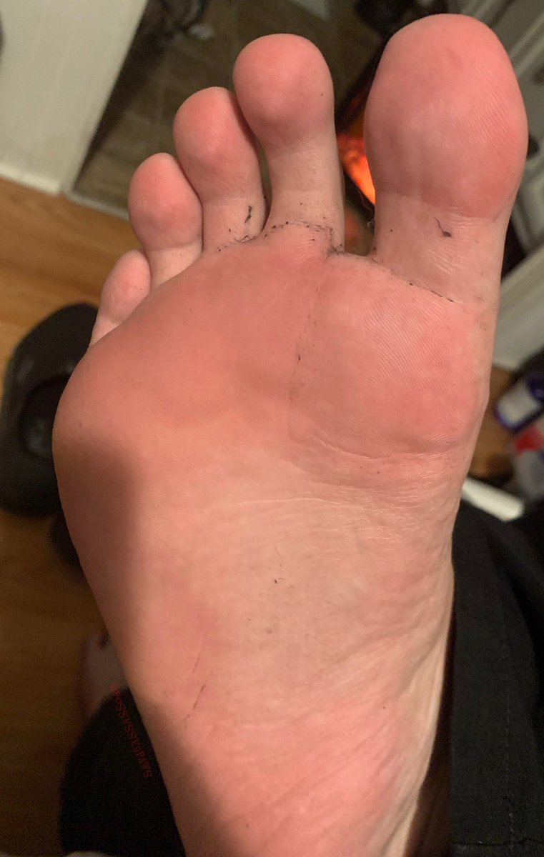 EctoPuppyAD tweet media