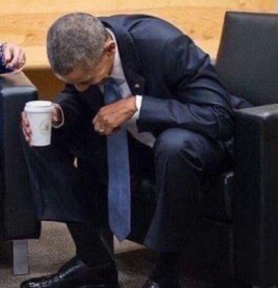 The Prolific tweet media