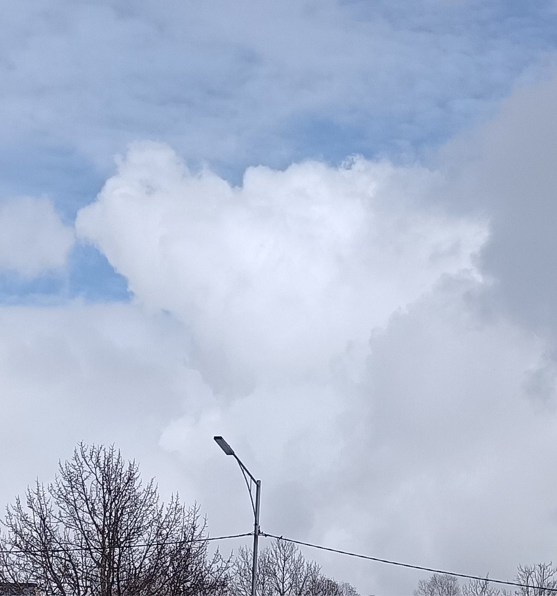 Lil Jack🎩 tweet media