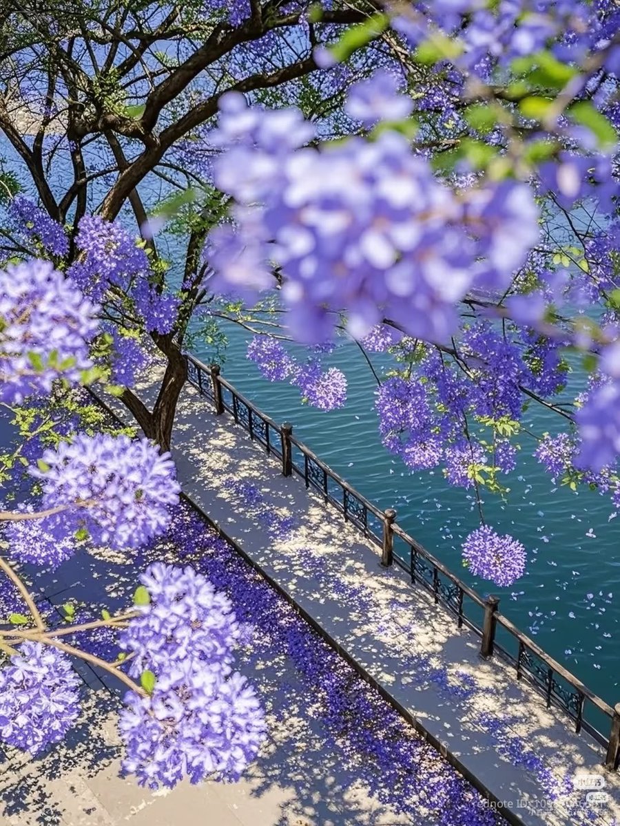 All about nature (@allaboutna91431) on Twitter photo 