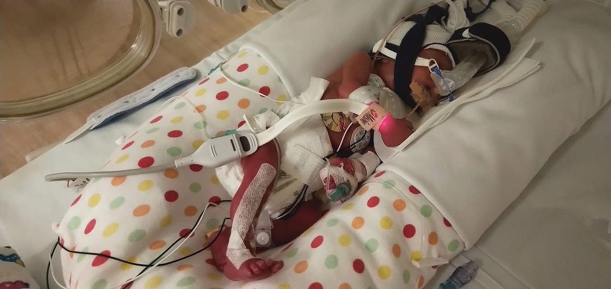 sequest01's tweet photo. A pleasure to donate $1000 in the name of my twin girls Ella Marie who spent 93 days in NICU who is now 7 &amp; Angel May who unfortunately didn't make to this world. Thank to @MaterNews who supported us all the way thru for both our girls https://t.co/bxuJGG8X24