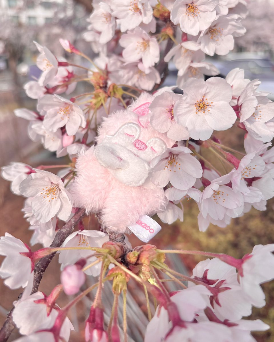 ˚₊‧꒰ა georgie ໒꒱ ‧₊˚ tweet media