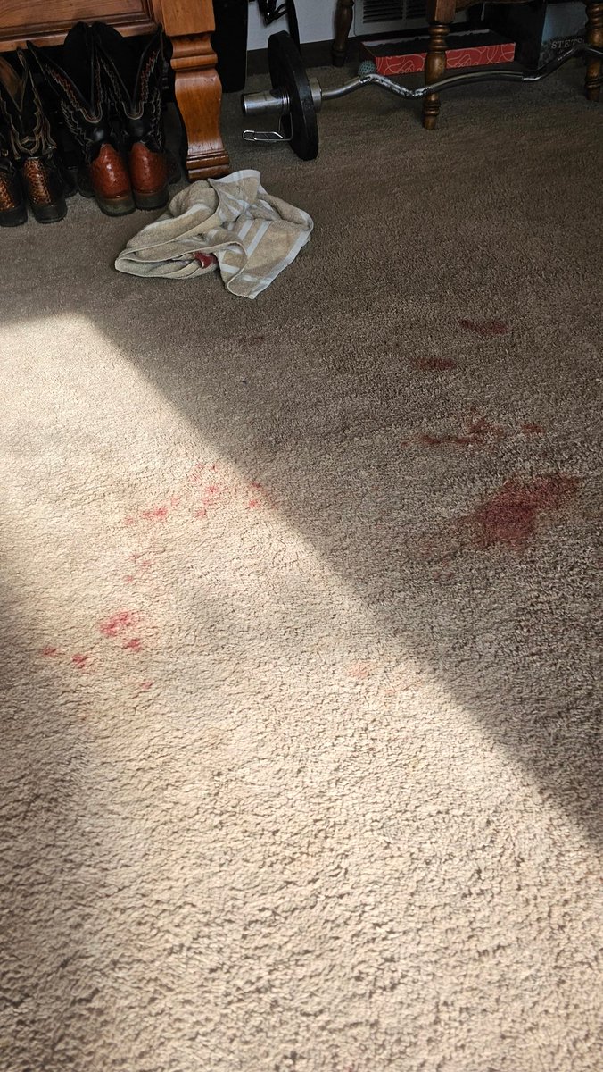 _all4honey's tweet photo. I kicked him till his balls and brains were mush 🤣 https://t.co/ladypM5CYf