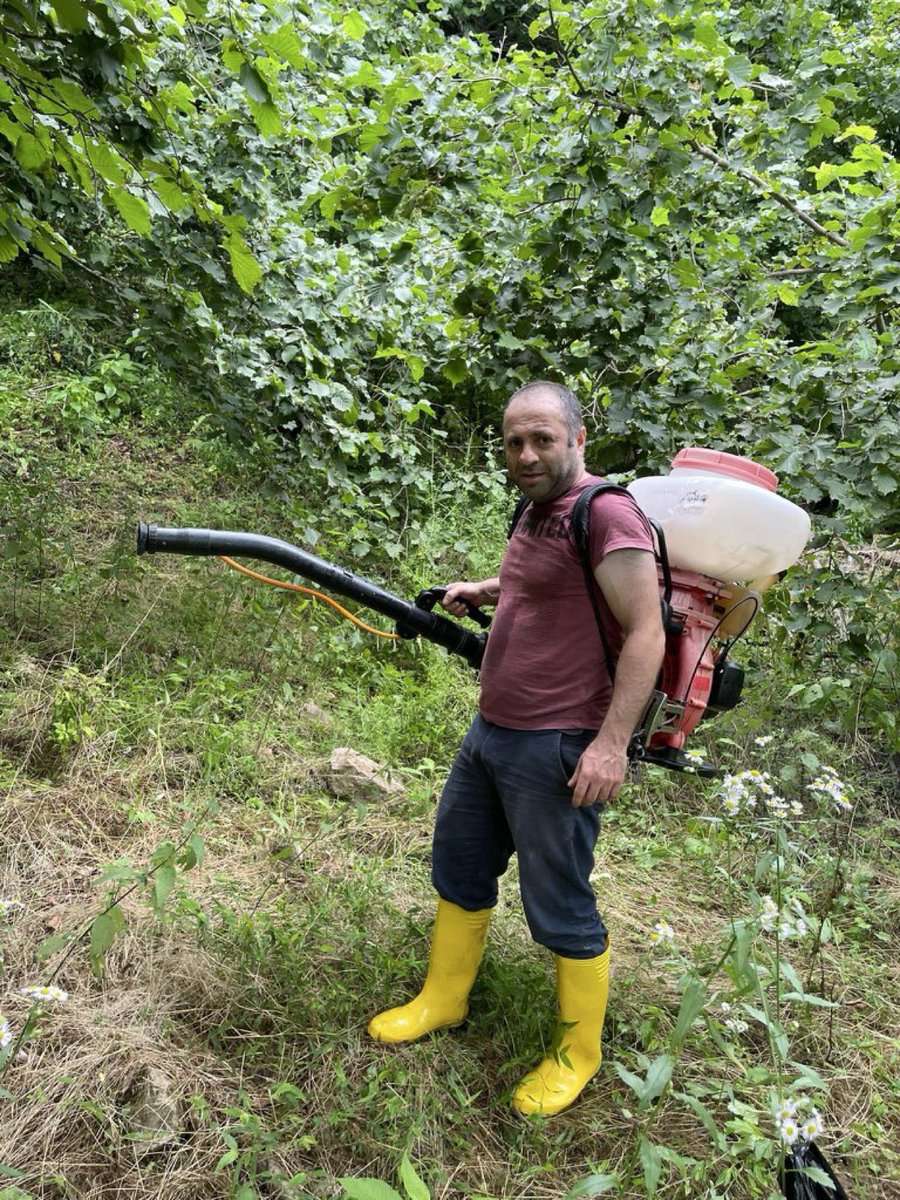 Fatih Çolak tweet media