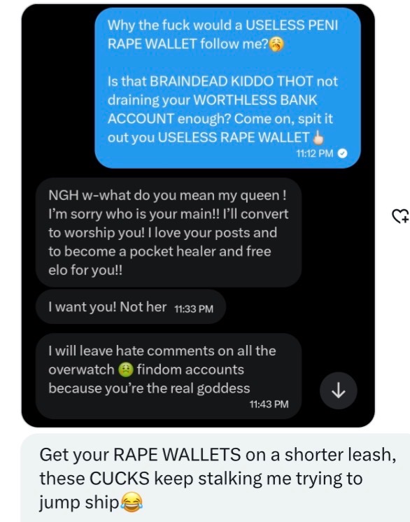 GoonPaladin tweet media