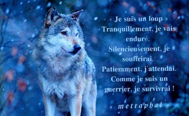 metraphal tweet picture