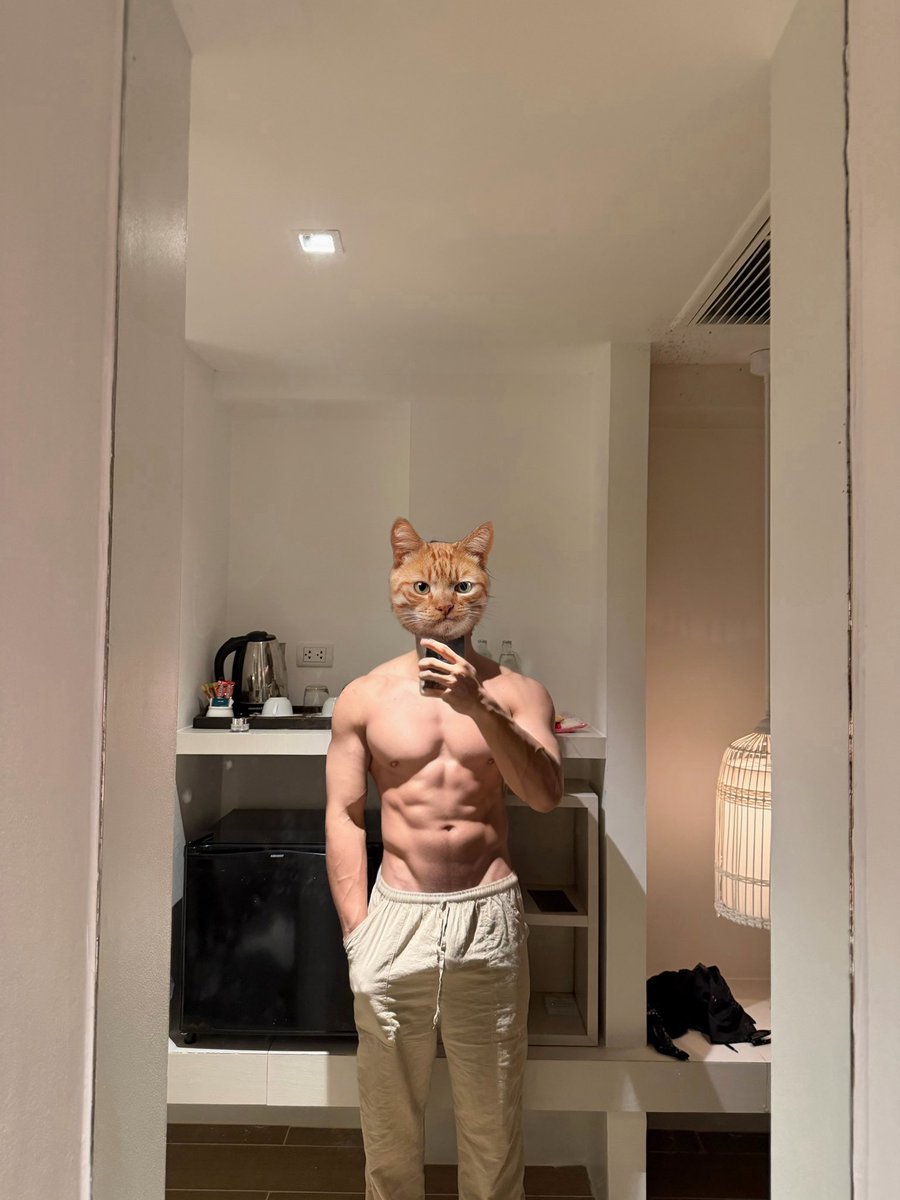 แมวส้ม 😼 tweet media