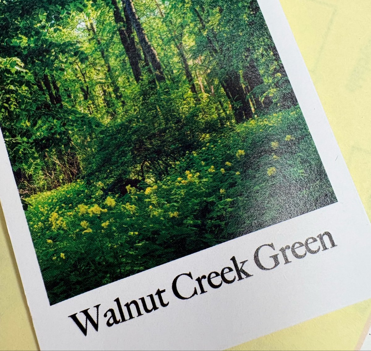 Iris_on_Ice's tweet image. #오뿌 #시보향 #FOTD
비비앙 월넛크릭그린🌿
오뿌는 아니고 일요뿌인데 이거 향기가 오늘까지!! 이거 향기 정말 조음  청명한 여름 숲냄새 같음. 약간 촉촉한 느낌도 살짝 쨍한 햇살냄새도 살짝 푸릇한 풀내음도 살짝 시원한 바람향기도 살짝 비누향이라고 하기엔 좀 단순하지만은 않구 
향기자체가