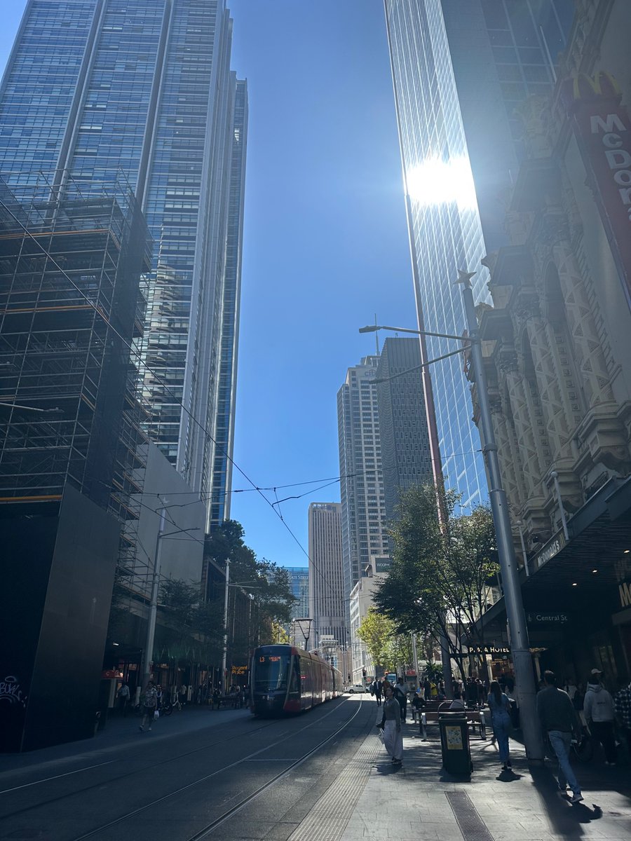 petit pois tweet media