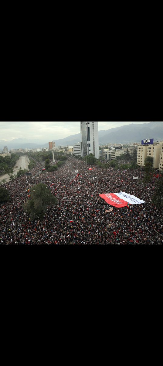 ElYRUIZ 💜 🐶🇨🇱Perdi mi cuenta anterior. tweet media