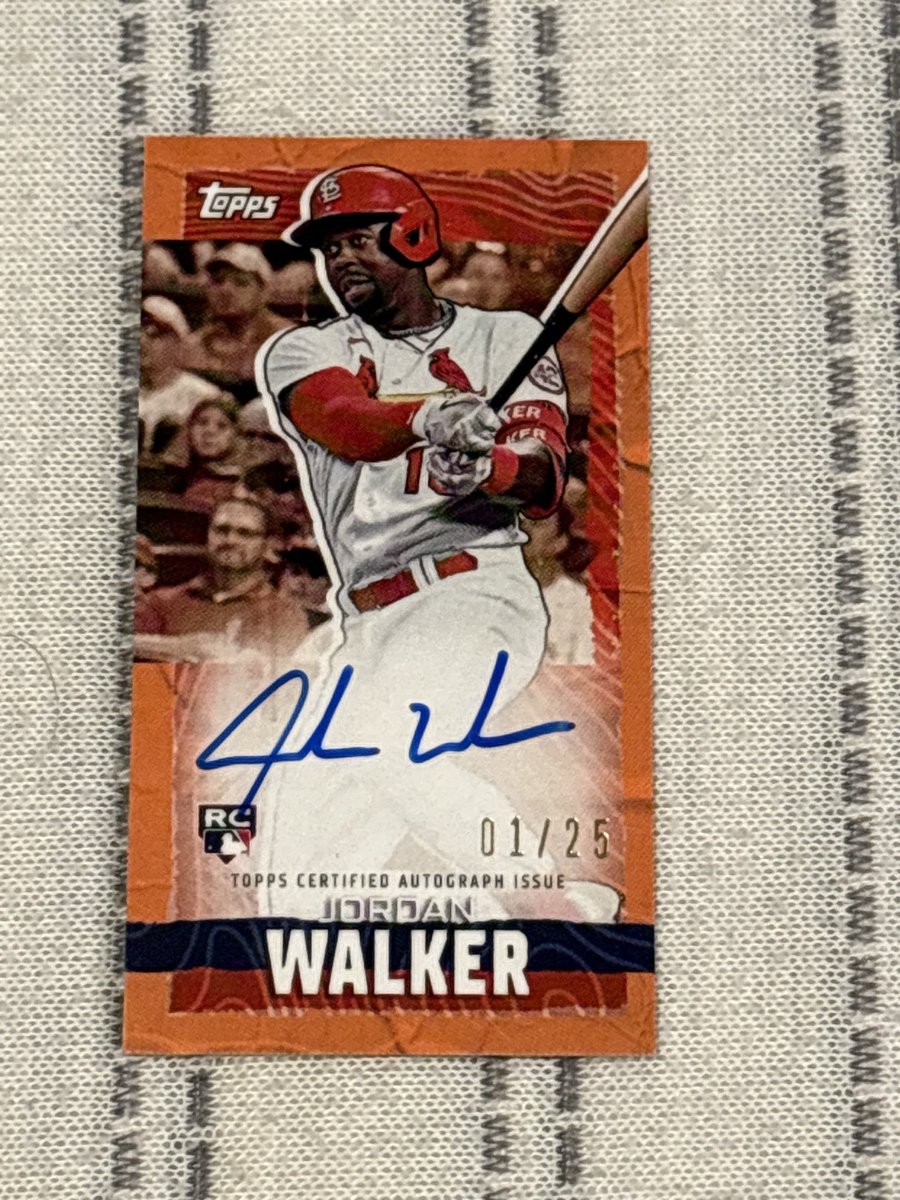 Connor M tweet media