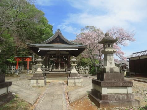 Kyoto no T tweet media