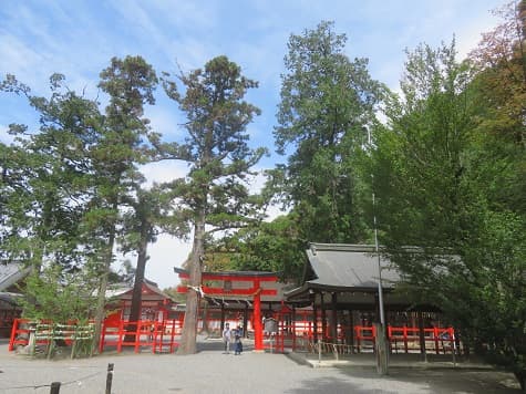 Kyoto no T tweet media