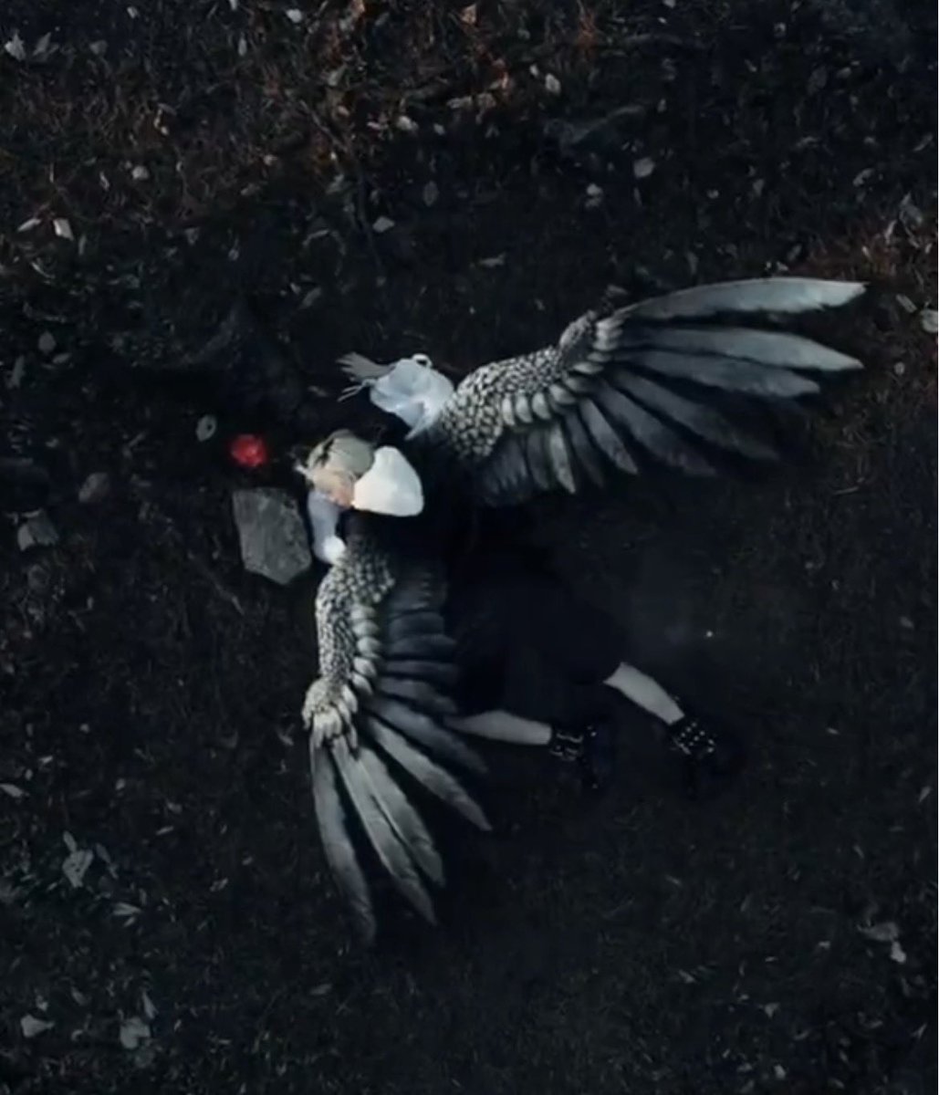 ૮꒰◞ ˕ ◟ ྀི꒱ა tweet media