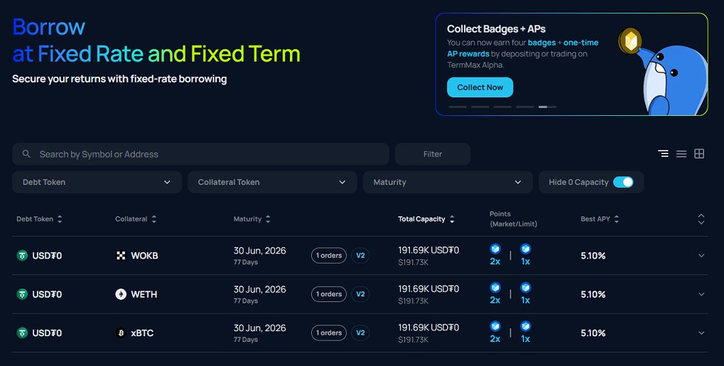 CaTQ 🐬TermMax tweet media