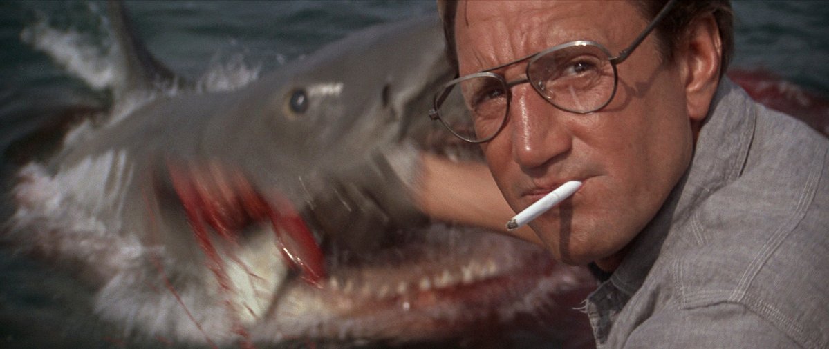 Courtney Roethle tweet media