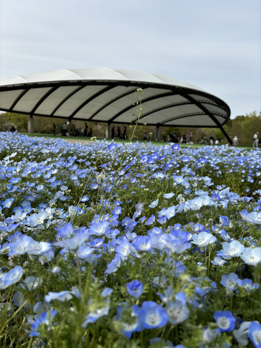 写真日和 tweet media