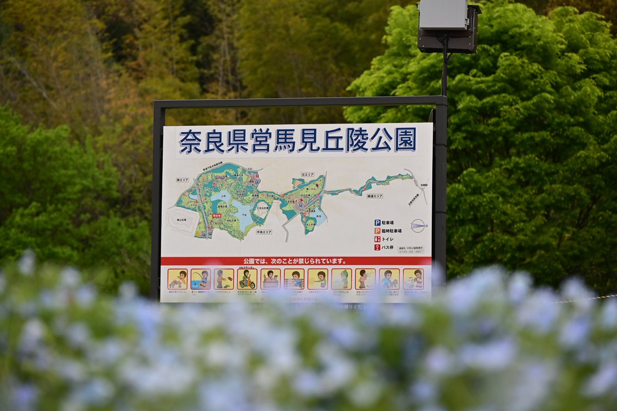 写真日和 tweet media