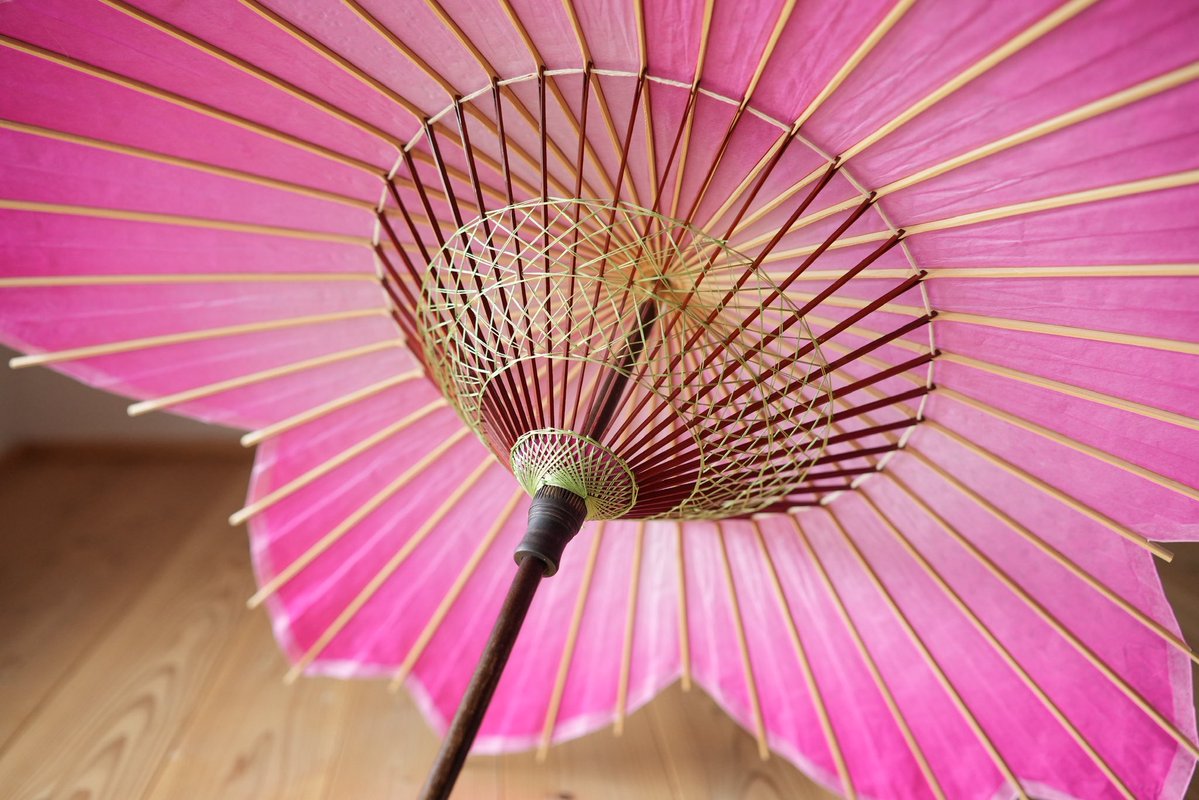 仐日和 (岐阜和傘) tweet media