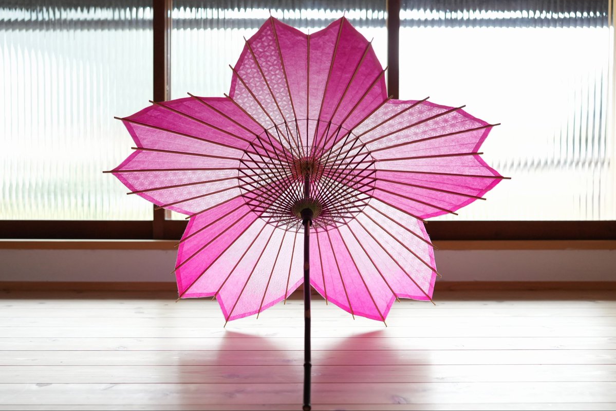 仐日和 (岐阜和傘) tweet media