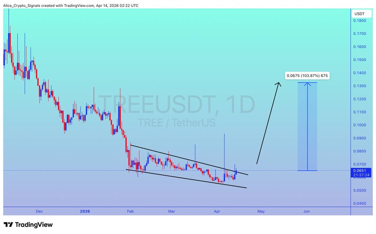 Allice_Crypto's tweet photo. $TREE
UPDATE
#TREE is ready to leave this bottom level. In this move we can see 100%+ gain here ✍🏻
#TREEUSDT #TREEBTC #BTC #Bitcoin #Crypto https://t.co/PUqZk0u2tp