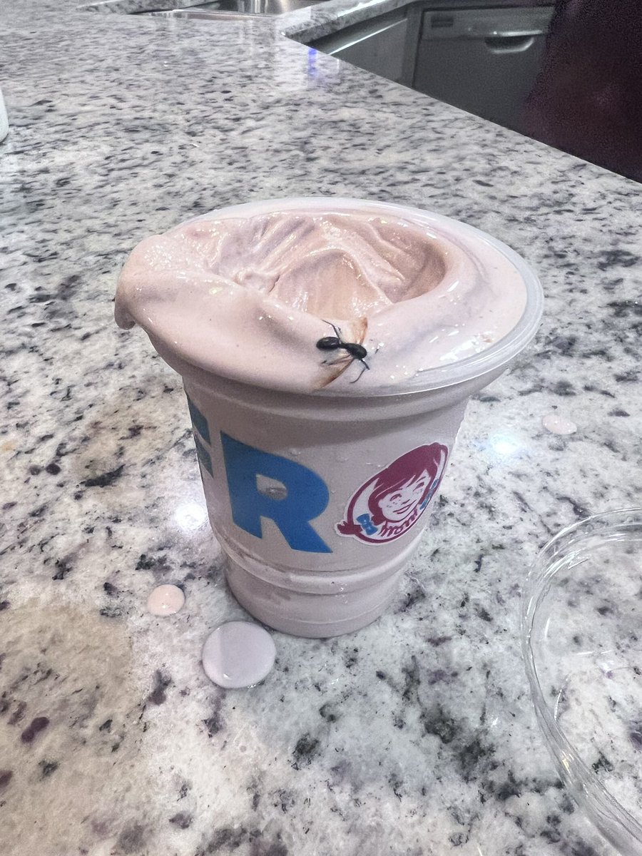 Kelsey Petrino Scott tweet media