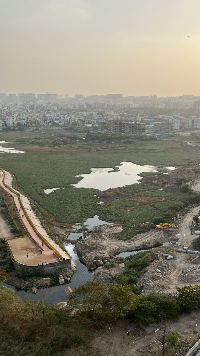 aneeshmuthyala's tweet photo. Sir, we are residents of Rainbow Vistas Rock Garden. We are suffering with heavy mosquito menace. We need a mosquito free RVRG and Kamuni Cheruvu restoration. Kindly act on this. 
@Comm_HYDRAA @TelanganaCMO @GHMCOnline @mkrkkpmla @CommissionrGHMC @HMDA_Gov https://t.co/da9Ewx9oPC