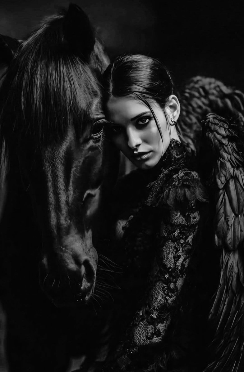 Mr. Mister tweet media