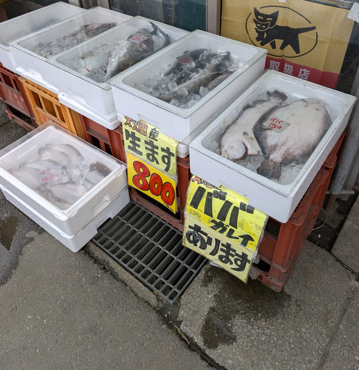 アヴェマナヴ tweet media