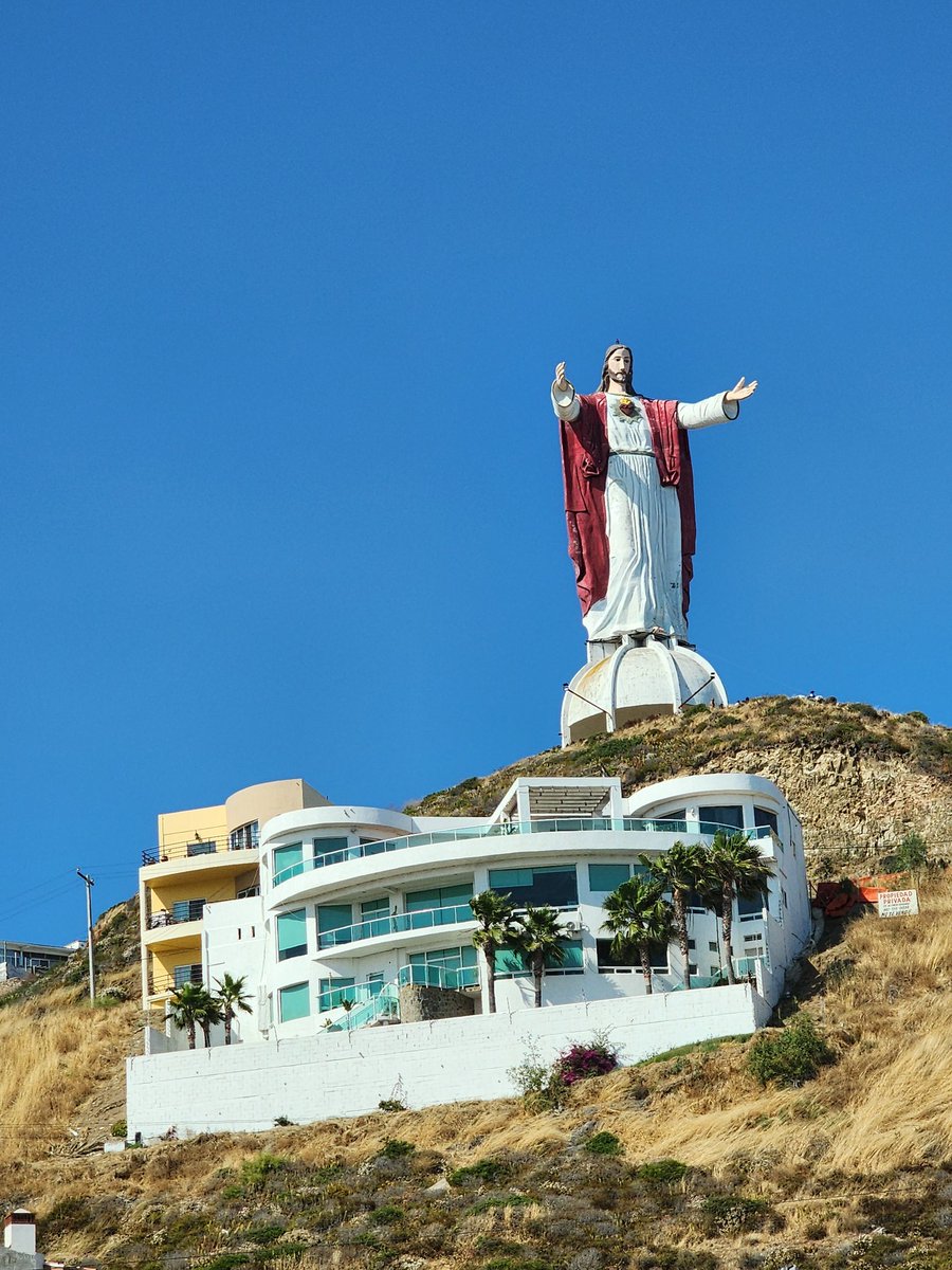 Kym 🇺🇦 🌻 tweet media