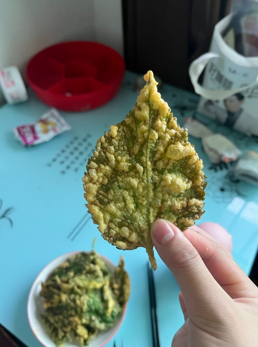 蒹葭（互fo🇨🇳必回💞） tweet media