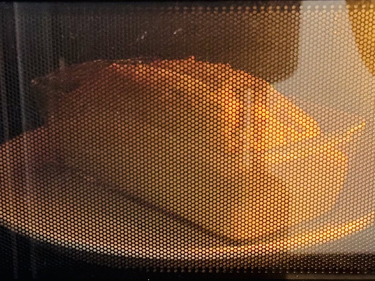 わさびぬこ tweet media