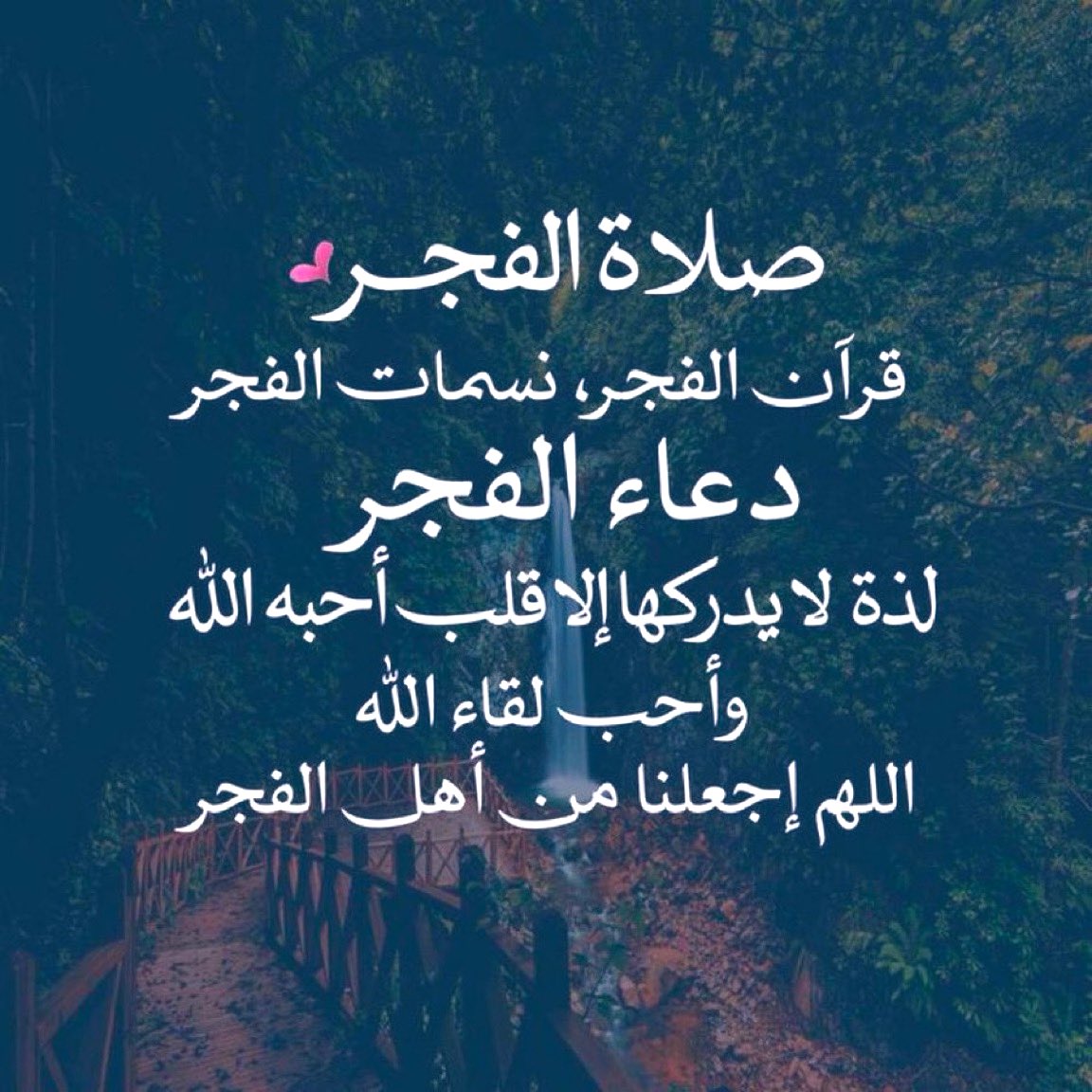 حصه الواصل tweet media