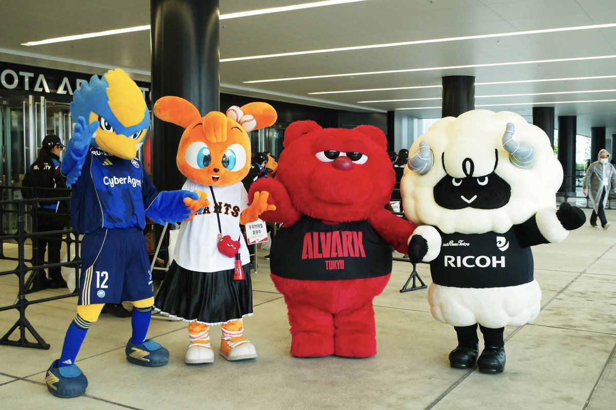 BlackRams Tokyo | ブラックラムズ東京 tweet media