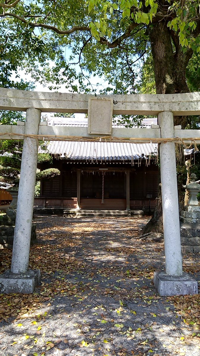 よこちゃん2nd tweet media