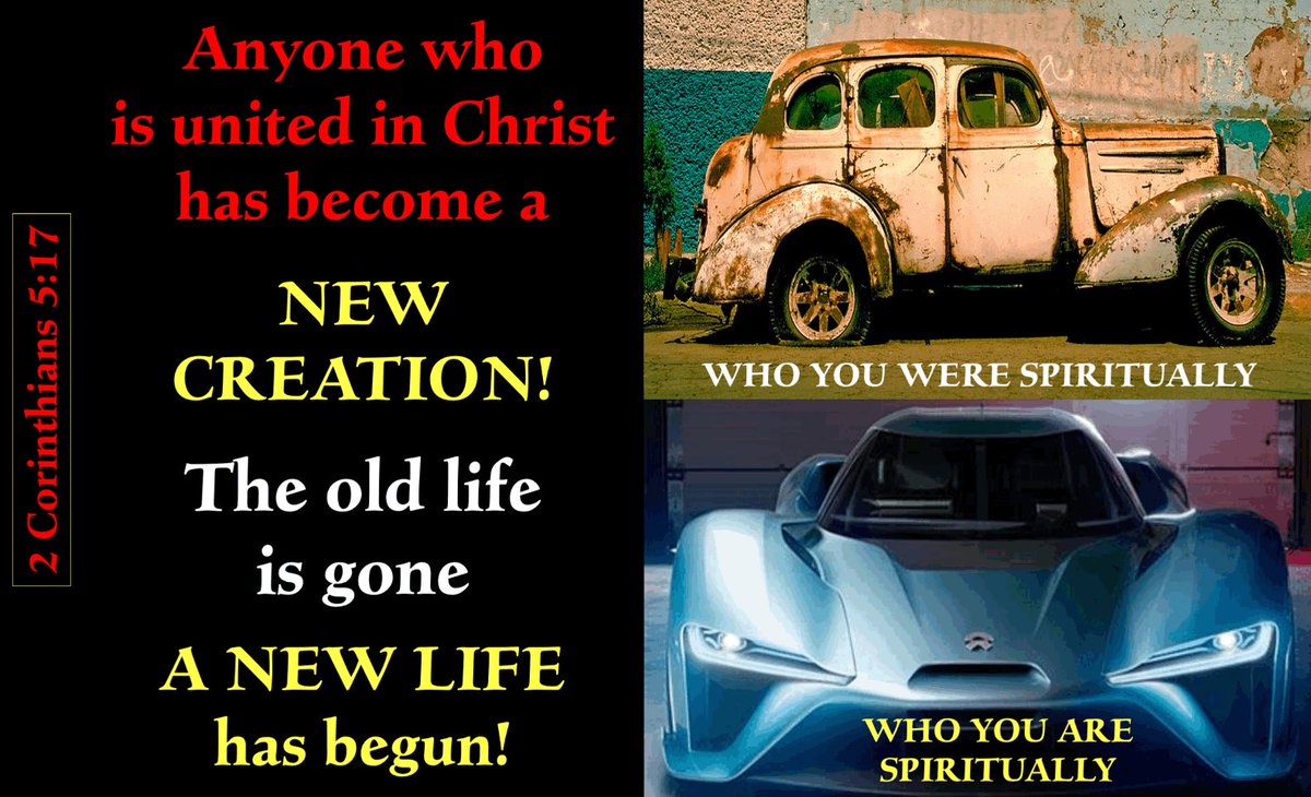 John J Ogle tweet media