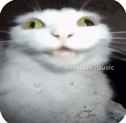 TotoPsikoUI’25(Semi gap year) tweet media