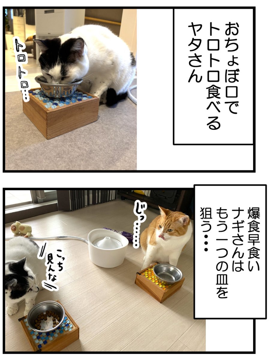 (2/2)明日に続きます! 