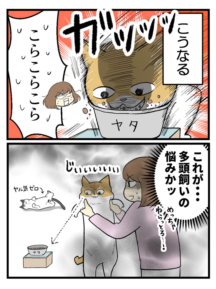 (2/2)明日に続きます! 