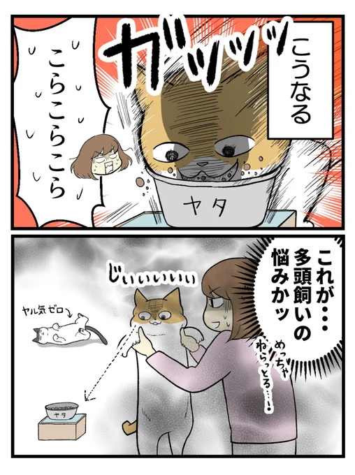(2/2)明日に続きます! 
