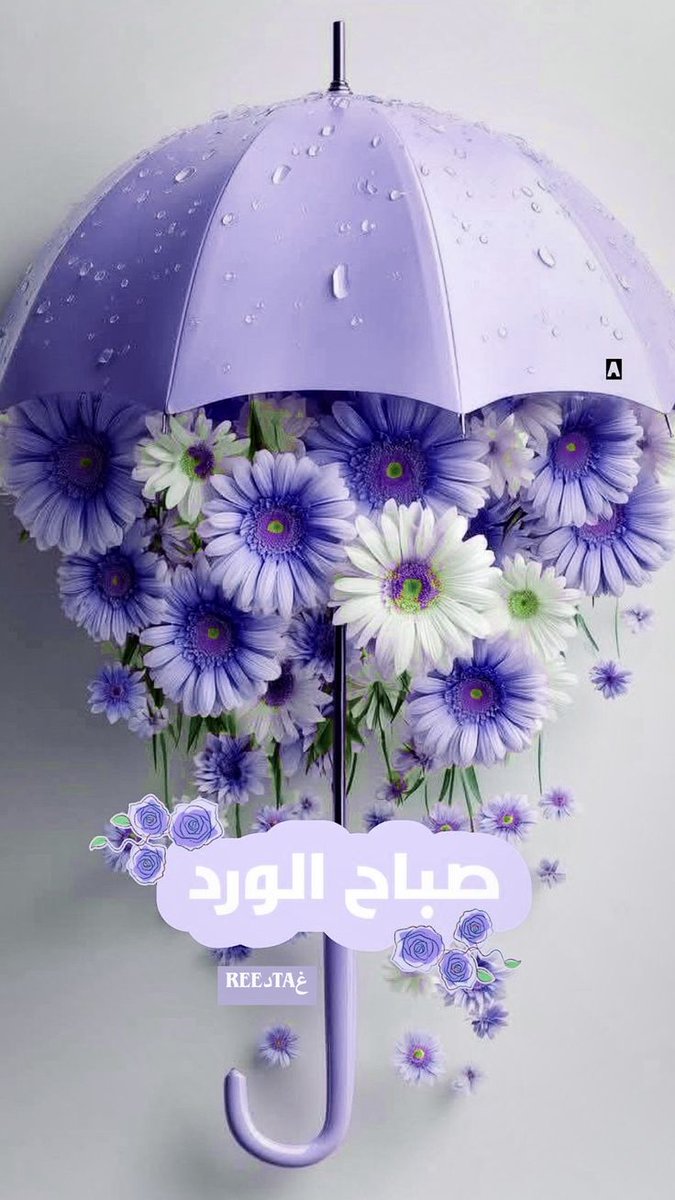 زهرة البنفسج [عواطف السعدية] tweet media