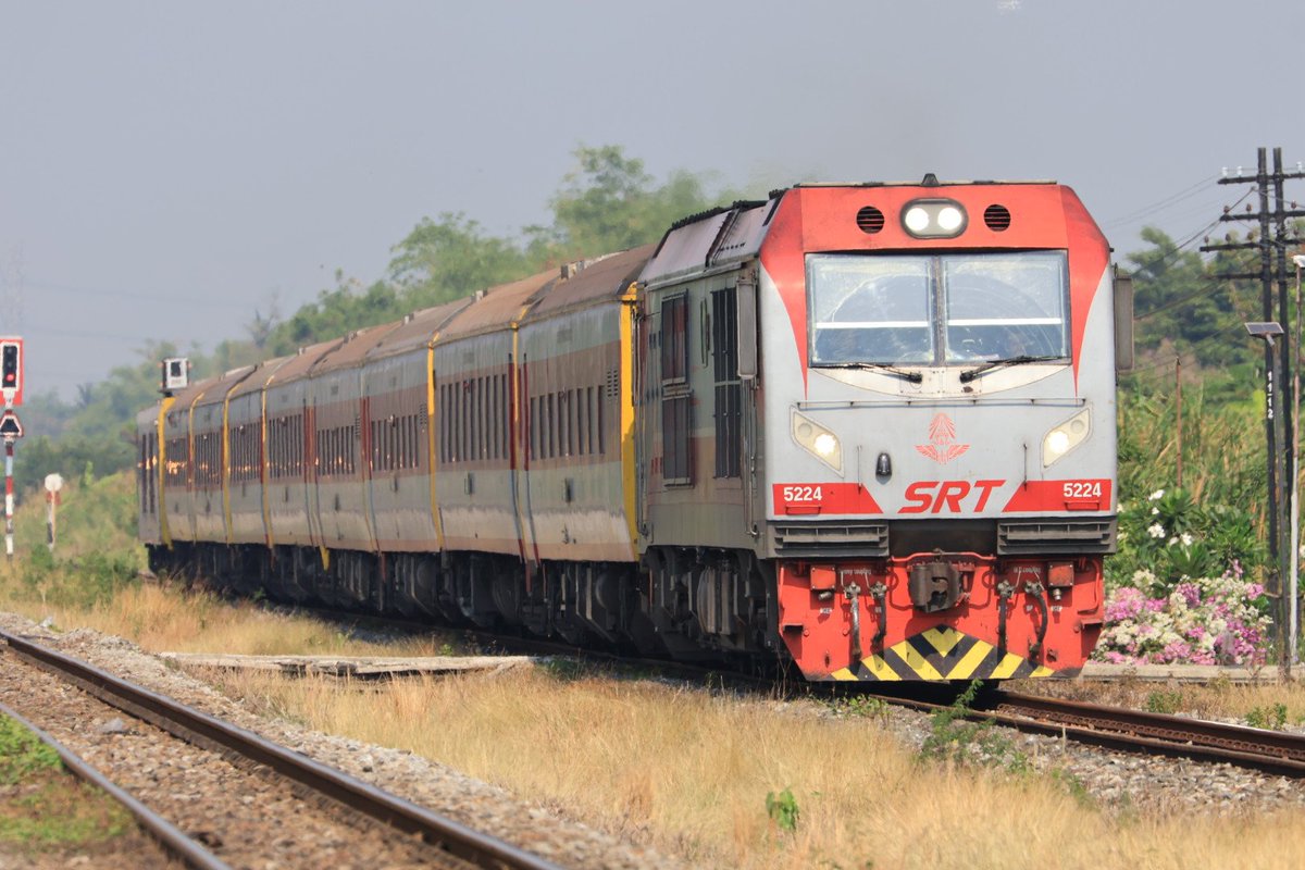 旅ねずみWorldタイ在住 tweet media