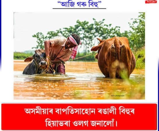 Abhijit Goswami 🇮🇳🇮🇳 tweet media