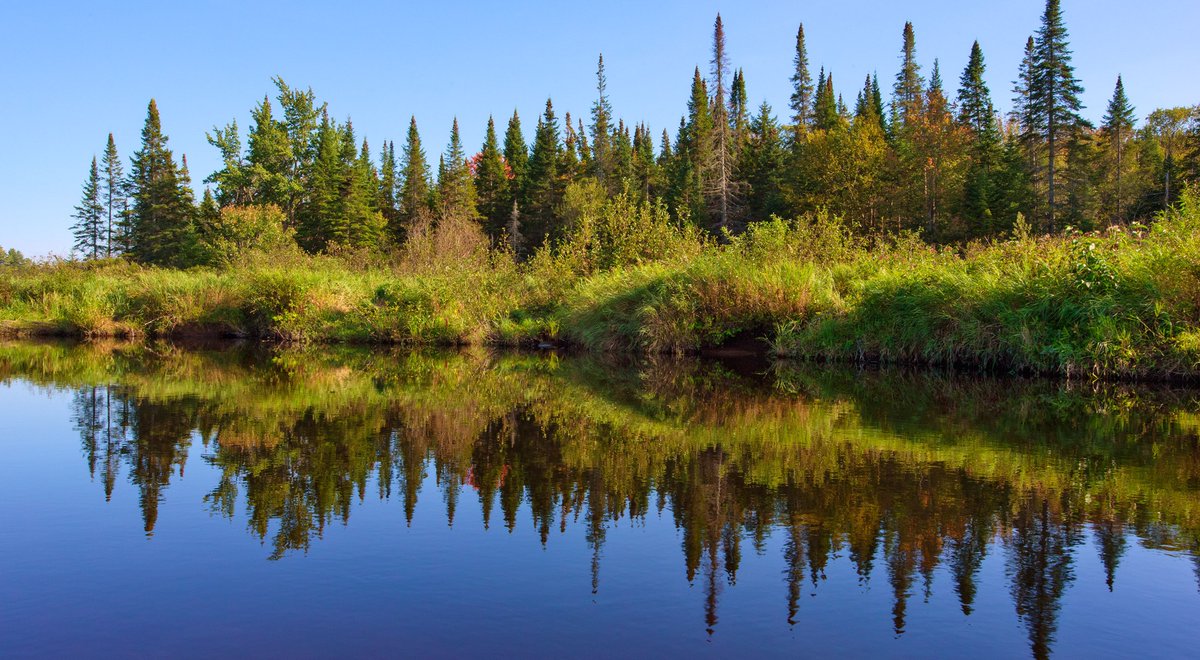 𝙷𝚒𝚌𝚔𝚖𝚊𝚗 tweet media