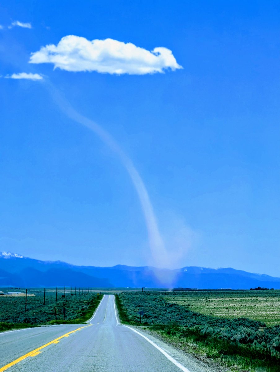 Loralee Logan 🌻🌻🌻 tweet media